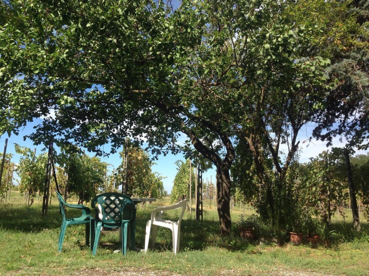 Il Canale Dei Mulini San Damiano Extérieur photo
